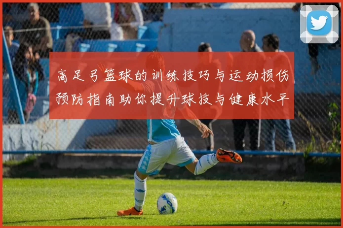 高足弓篮球的训练技巧与运动损伤预防指南助你提升球技与健康水平