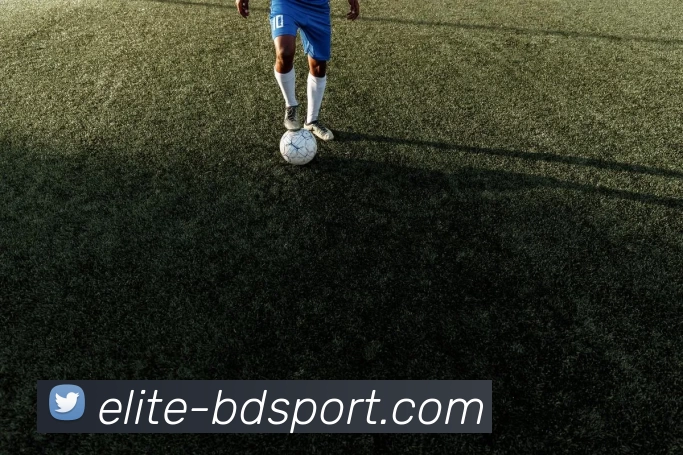 半岛体育发展历程